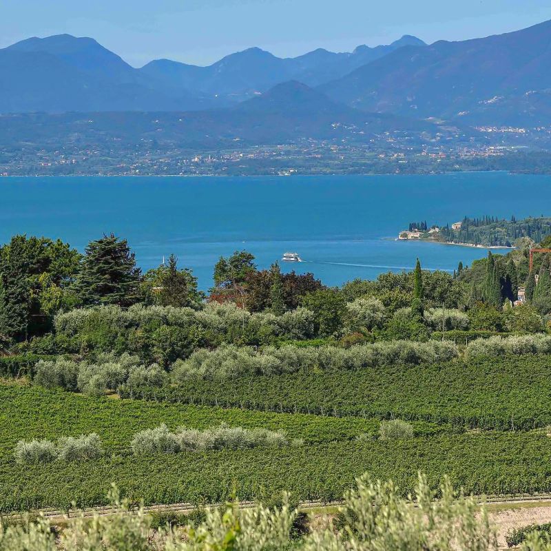 Bardolino Wine: History, Traditions, and Festivals on Lake Garda
